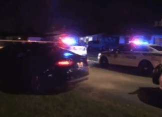 Home Owner Defends House After Intrusion Says Report