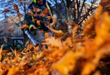 Residents Furious Over Possible Fine Regarding Leaf Blowers