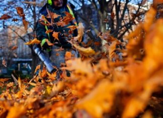 Residents Furious Over Possible Fine Regarding Leaf Blowers