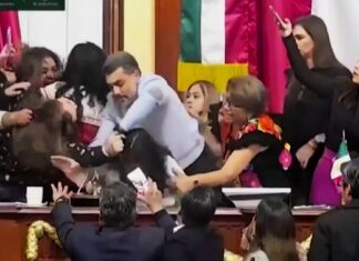 Mexico City Lawmaker Brawl Over Transparency