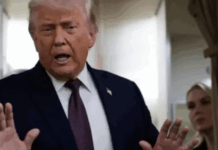 Trump Issues Statement Following Second Federal Involved Shooting In Minneapolis